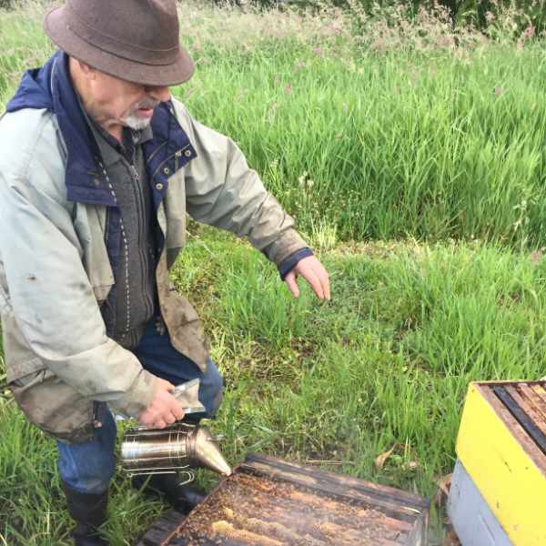 Beekeeping bee smoke