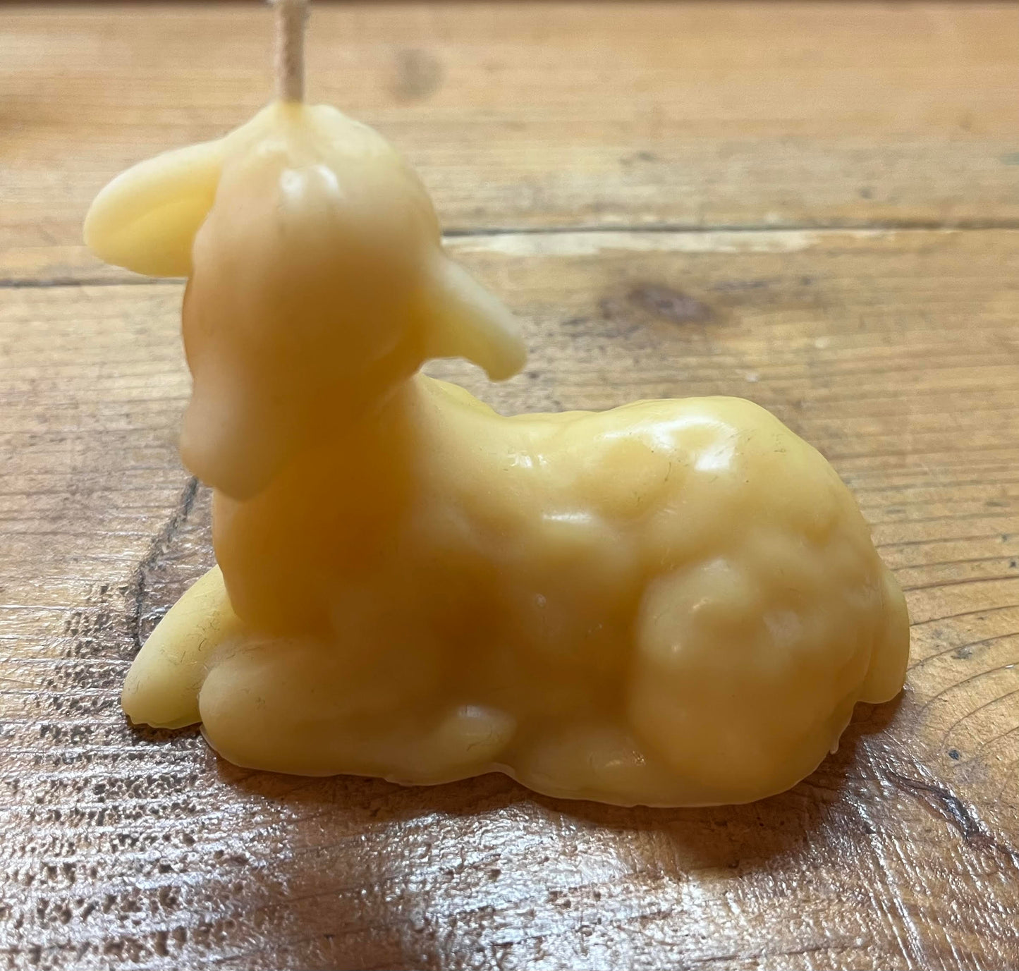 Beeswax Lamb Candle