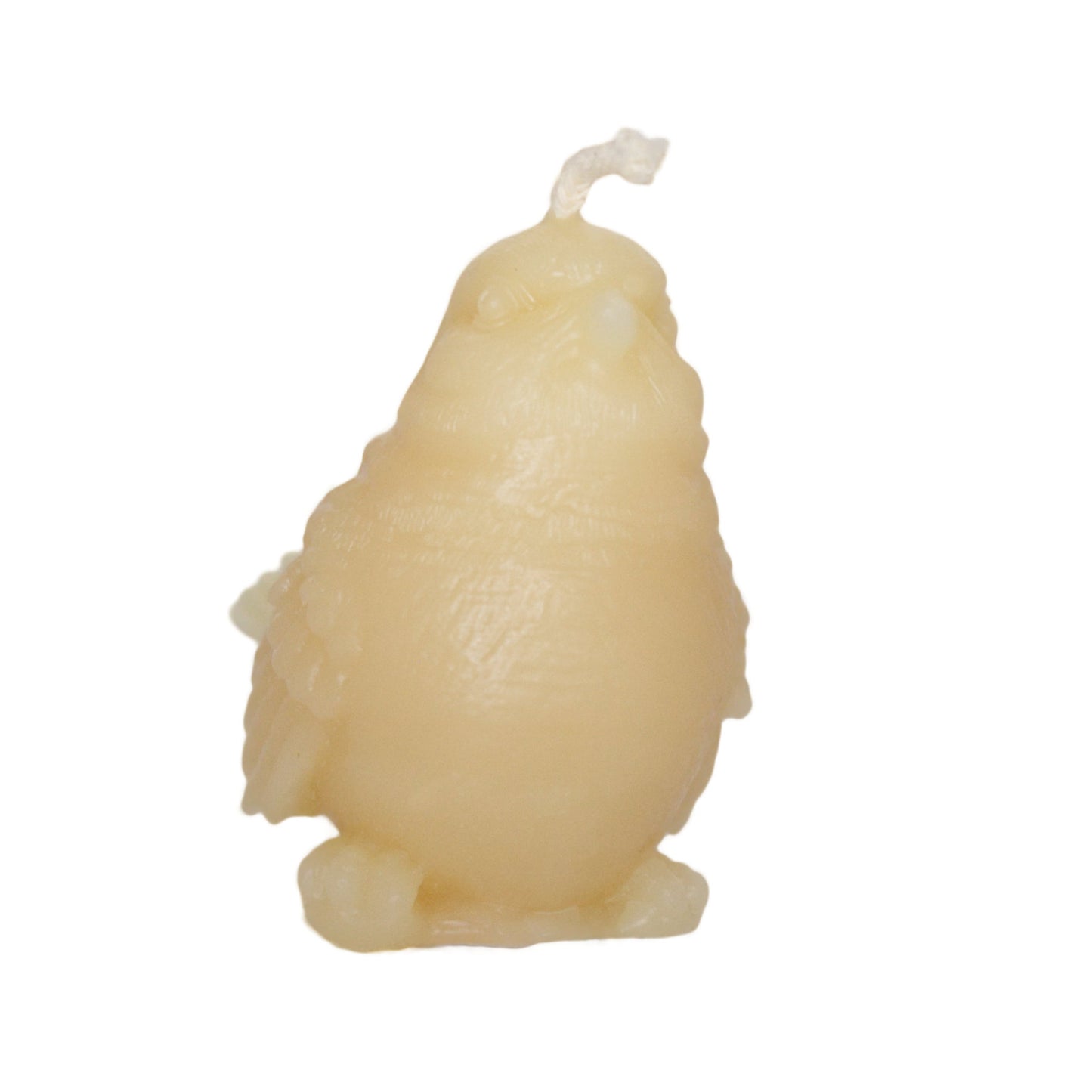 Besswax candle bird sparrow