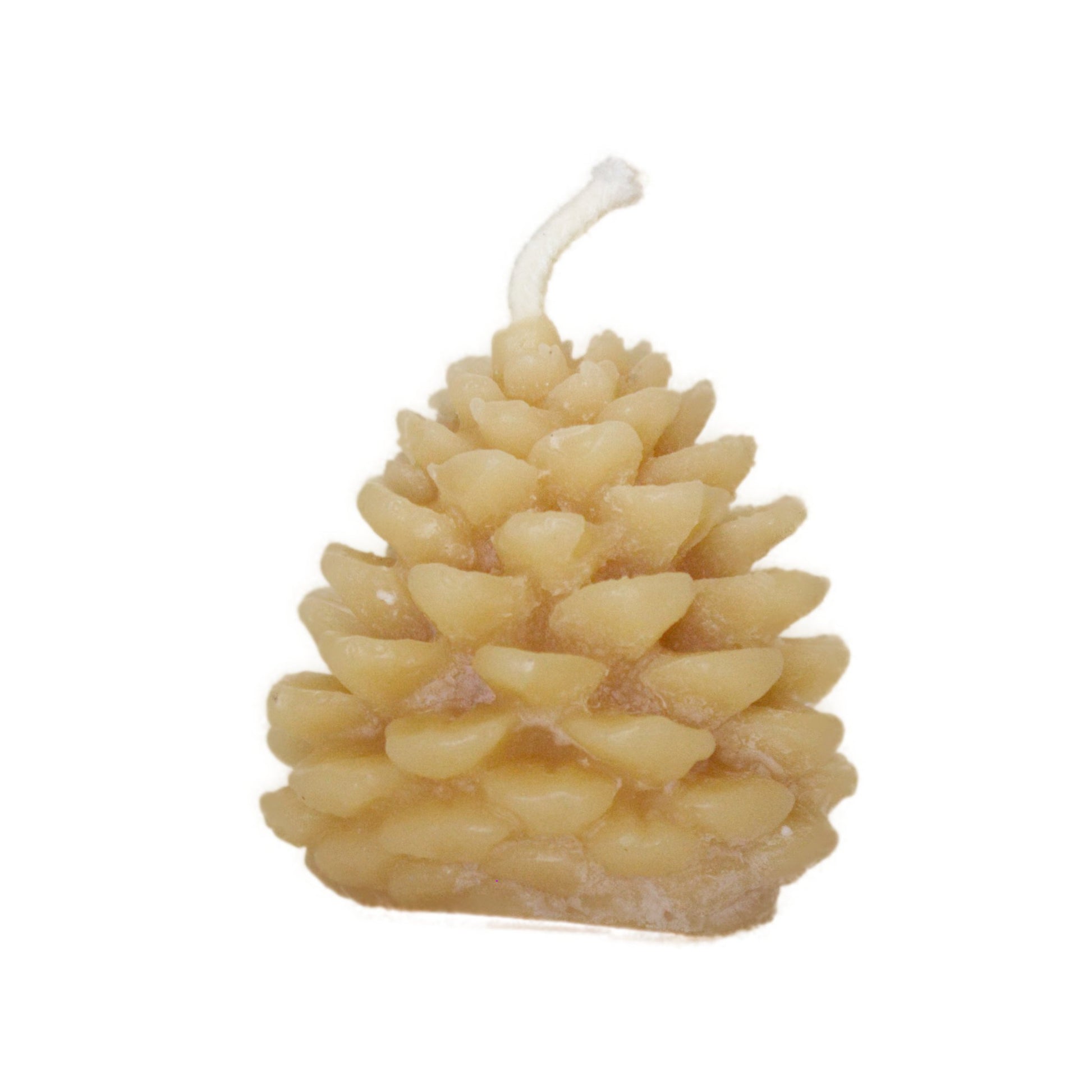 Beeswax candle pinecone ornamental